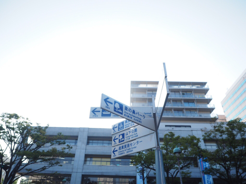 f0357183_22261127.jpg