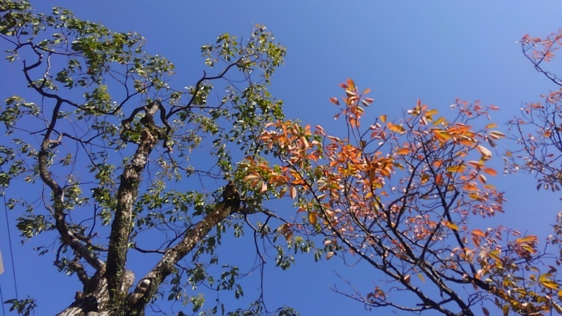 b0278384_12064660.jpg