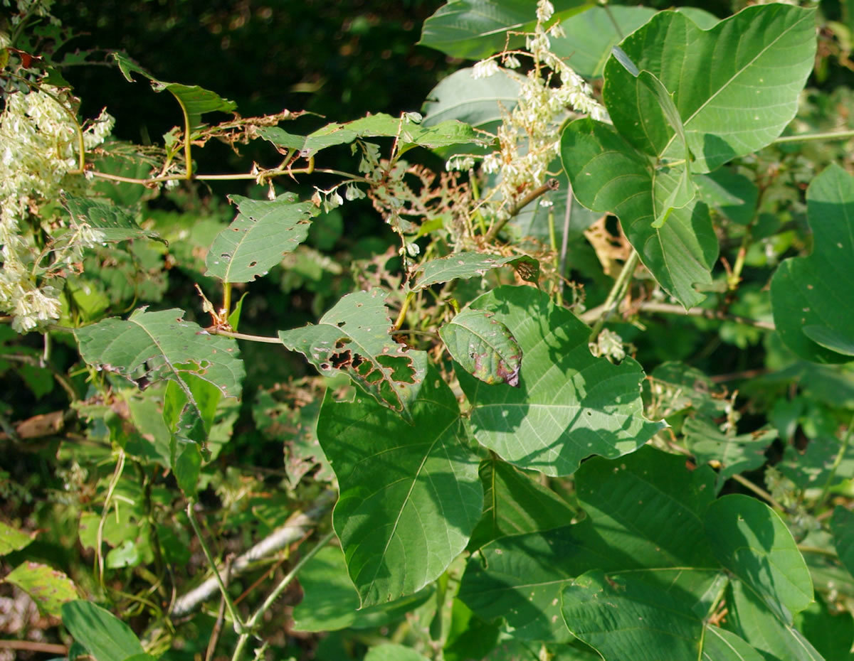 b0123486_10564228.jpg