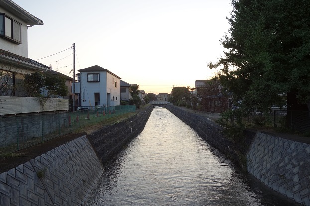 d0183387_19195312.jpg