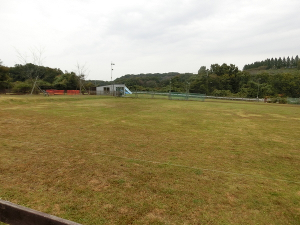 d0098295_17152707.jpg