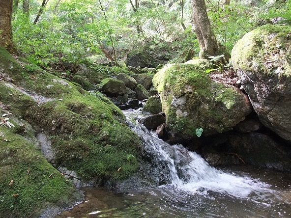 e0309795_19272133.jpg