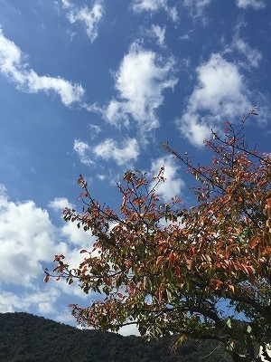 b0199498_16524650.jpg