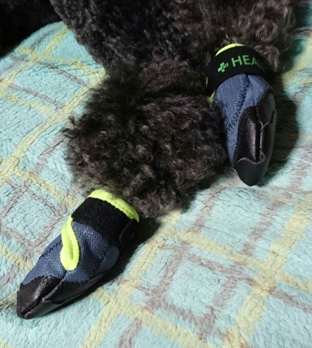 f0033598_20414720.jpg
