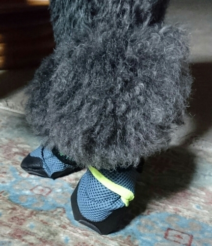 f0033598_20415344.jpg