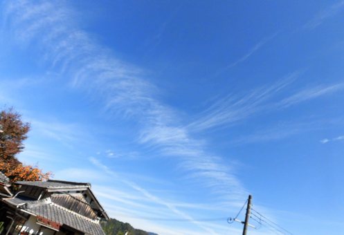 a0236300_11043819.jpg