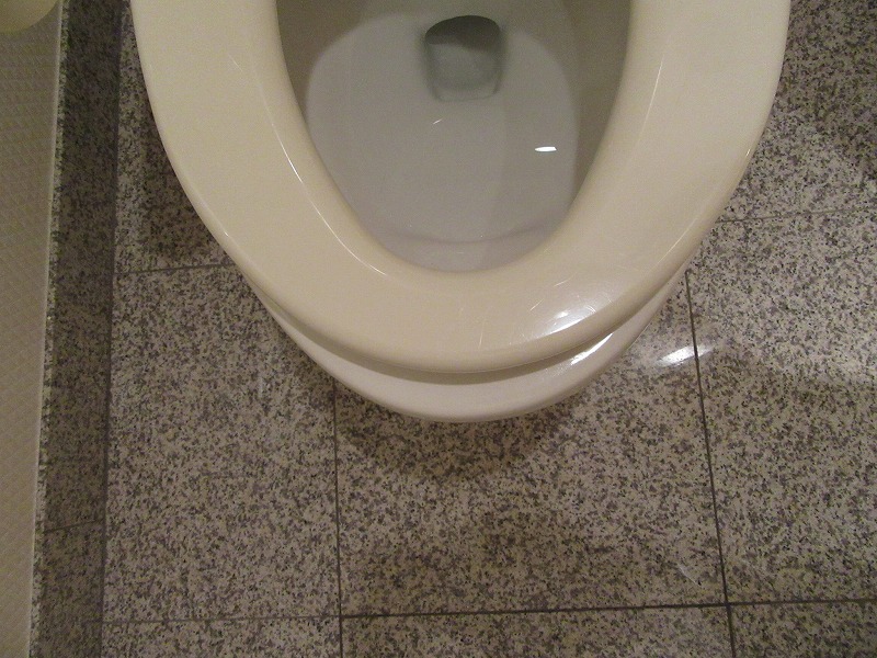 b0003400_21452227.jpg