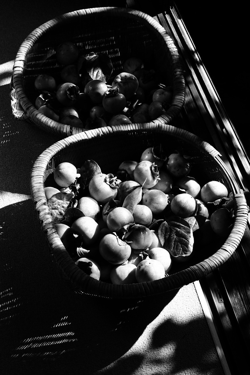 c0082800_22555449.jpg
