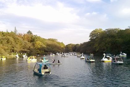 d0051601_22243939.jpg
