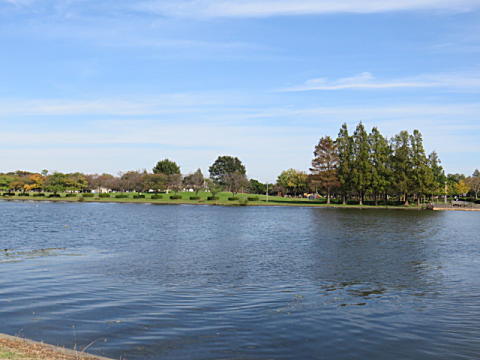 d0046702_06324078.jpg