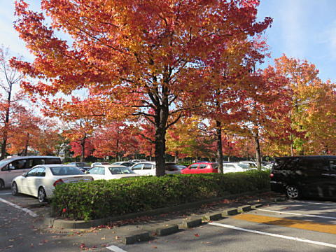 d0046702_06330120.jpg