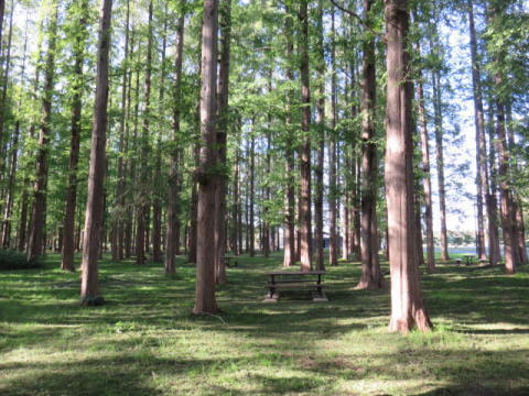 d0046702_06331151.jpg