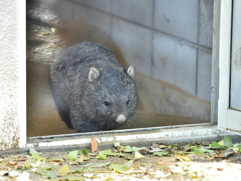 白い右手は温かい雪のよう_a0164204_09360754.jpg