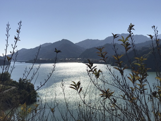 c0212604_2011446.jpg