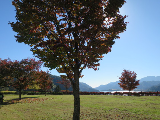 c0212604_20311783.jpg