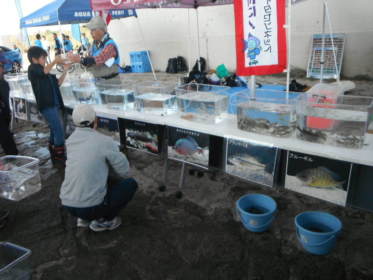 a0263106_21164681.jpg