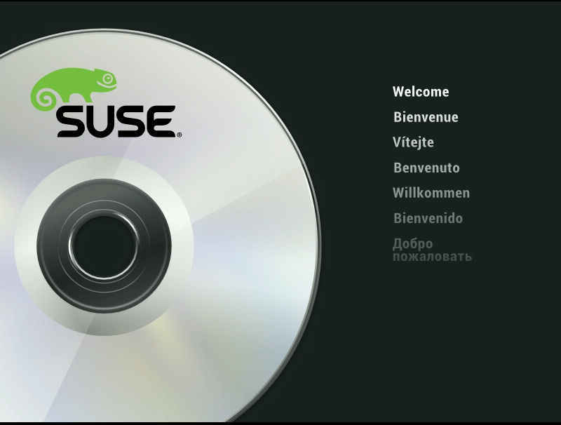 SUSE Linux のアップデート SLES11 を SLES12 に_a0056607_23003502.jpg