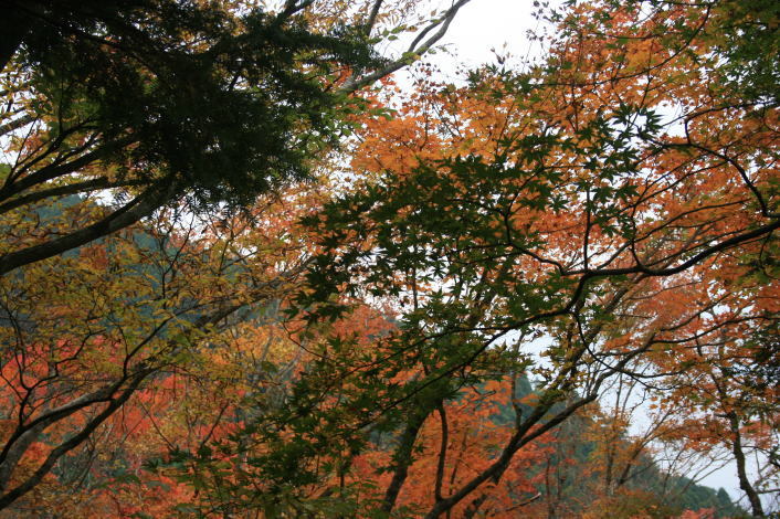 #山犬嶽へ紅葉を見に！！_a0136507_21124245.jpg