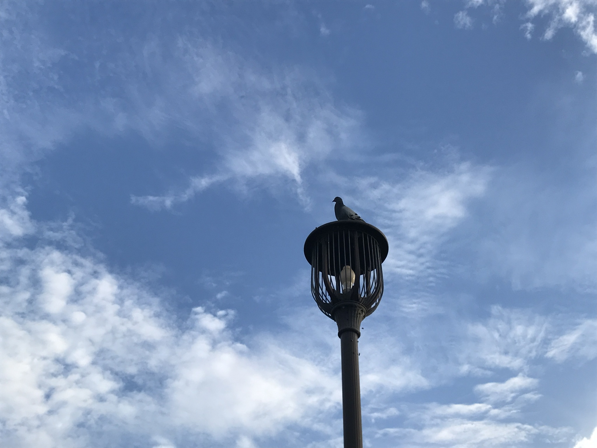 b0061107_22301103.jpeg