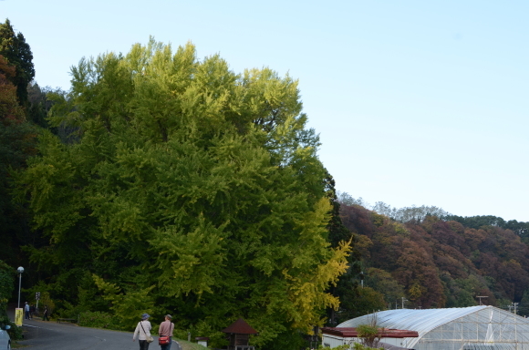 c0336907_21054125.jpg