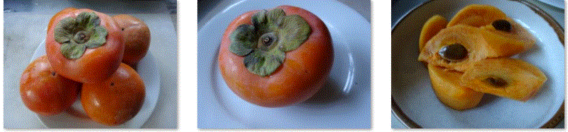f0231709_16142036.gif