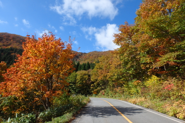 紅葉フォトソロツー（２）　大山の紅葉_f0368610_21063218.jpg