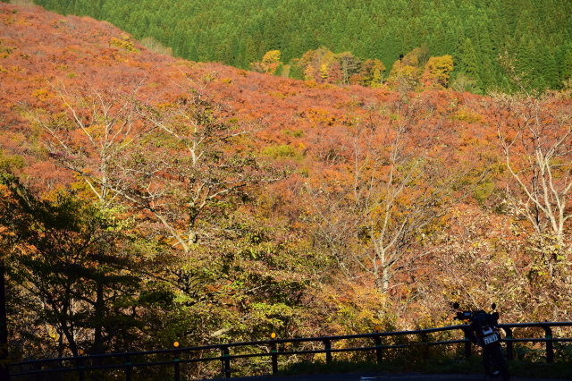 紅葉フォトソロツー（２）　大山の紅葉_f0368610_21072195.jpg