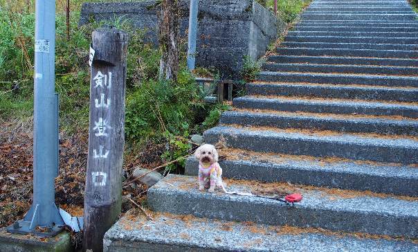 剣山の紅葉、散り終わり（登山口～二度見展望台編）_a0133211_20495538.jpg