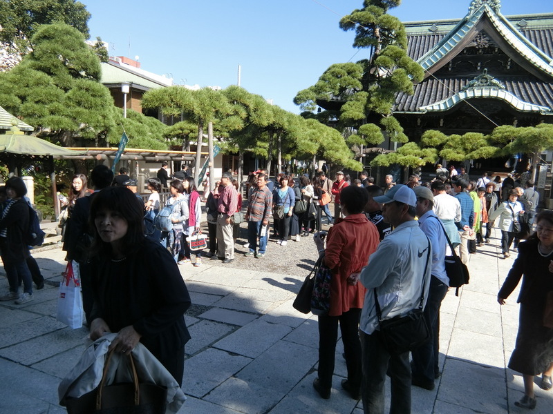 11月3日（金）柴又水神様_d0278912_22353480.jpg