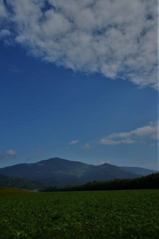 f0365212_23404743.jpg