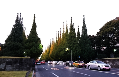 d0113613_10230012.jpg