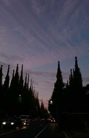 d0113613_10230544.jpg