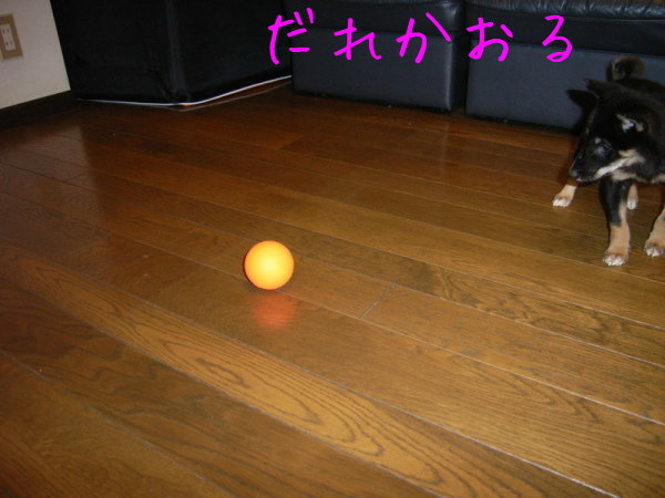 f0369014_15235816.jpg