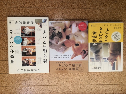 「豆柴「センパイと捨て猫コウハイ カレンダー2018」 即売会！_c0192615_10594635.jpg