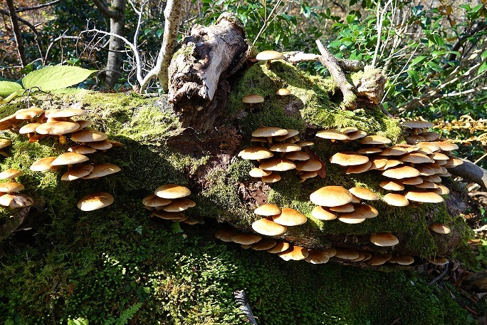 f0360815_17371534.jpg