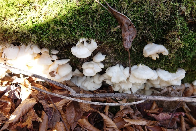 f0360815_17371579.jpg