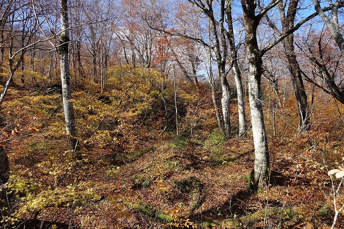 f0360815_17371623.jpg