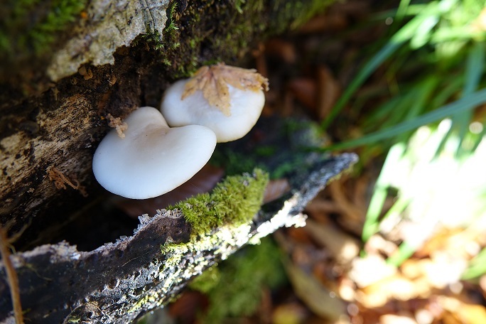 f0360815_17371654.jpg