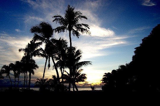 c0152317_16164117.jpg