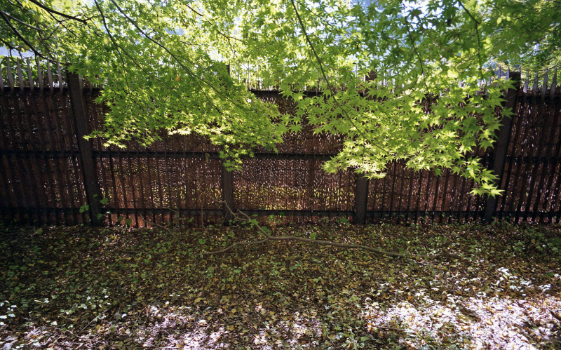 d0339617_06253458.jpg