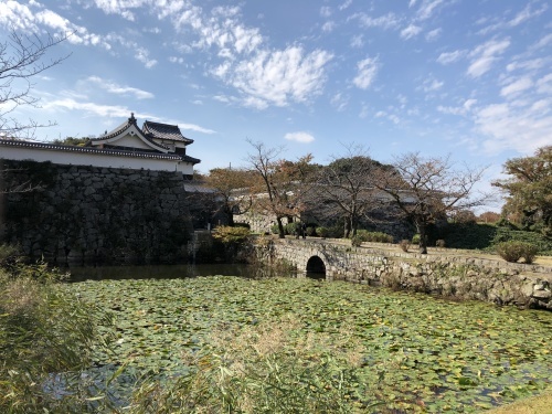 a0315918_19272919.jpg