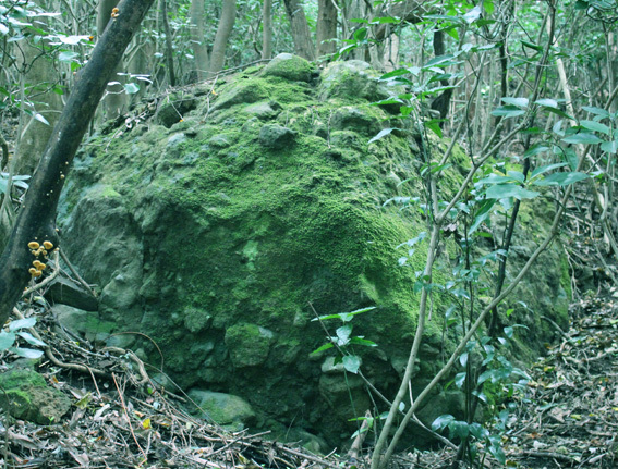a0329820_12454342.jpg
