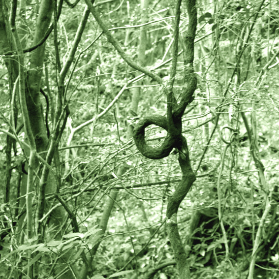 a0329820_12454734.jpg