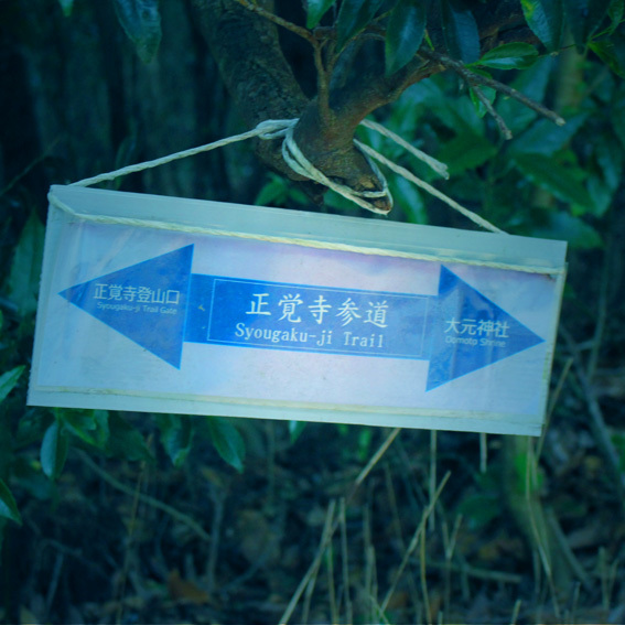 a0329820_12460315.jpg