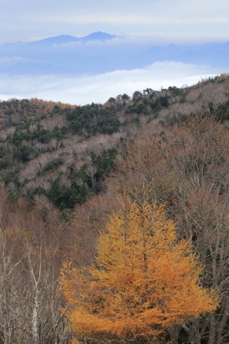 e0242721_07212562.jpg