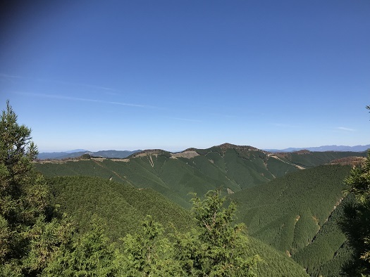 e0151623_20500640.jpg