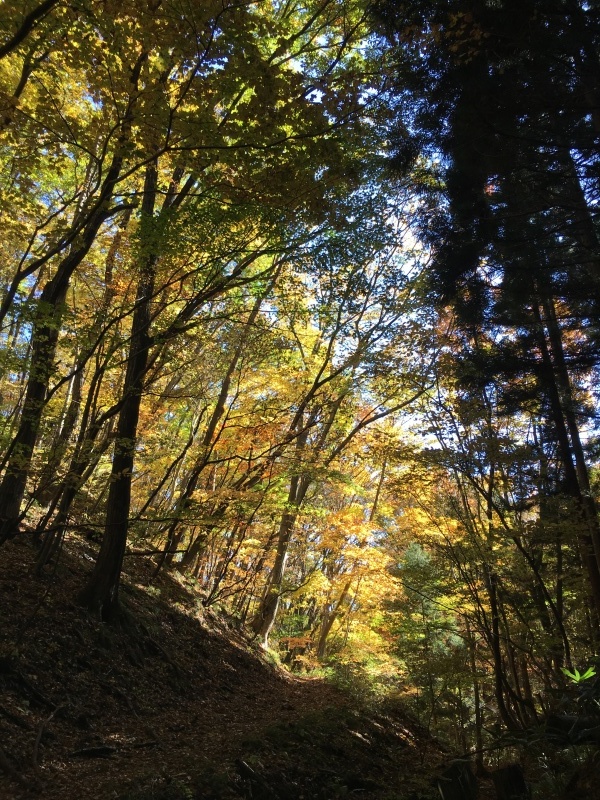 セローで紅葉狩り【七ヶ宿】_e0365923_20554172.jpg