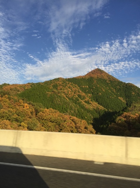 d0323324_16334010.jpg