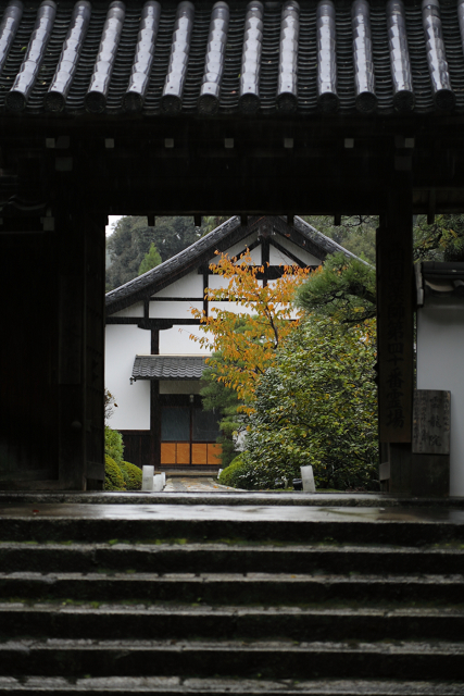 紅葉の泉涌寺 －雲龍院（前編）－_b0169330_21505587.jpg