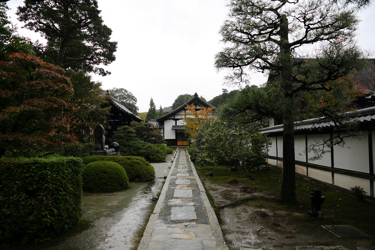 紅葉の泉涌寺 －雲龍院（前編）－_b0169330_2151136.jpg